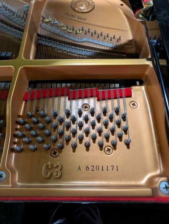 YAMAHA