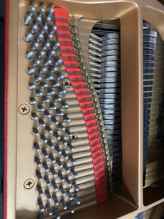YAMAHA