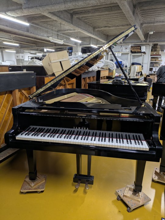 YAMAHA