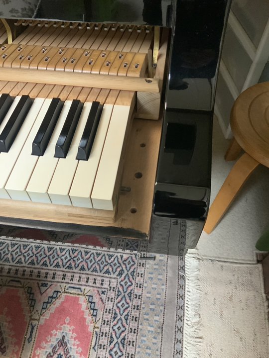STEINWAY&SONS(HAM)