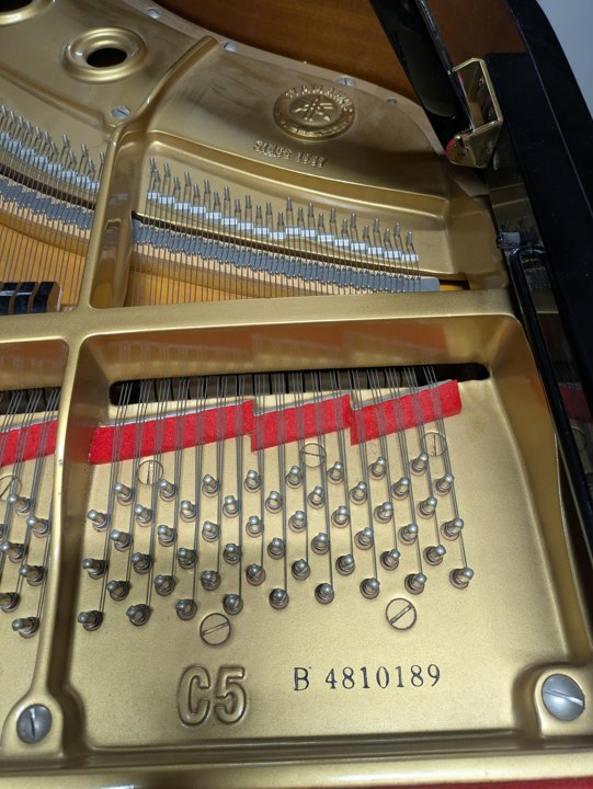 YAMAHA