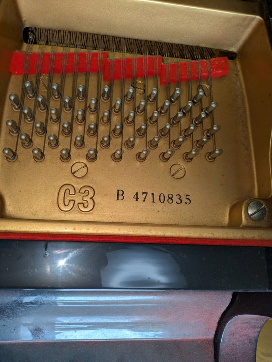 YAMAHA