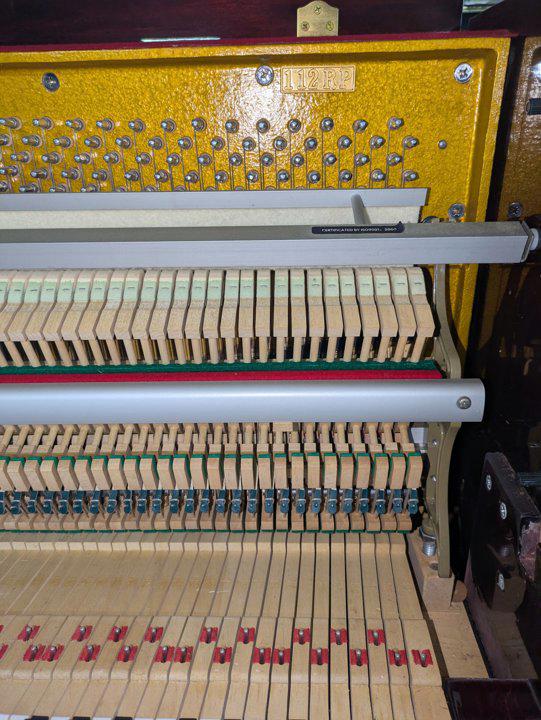 SCHAFER&SONS