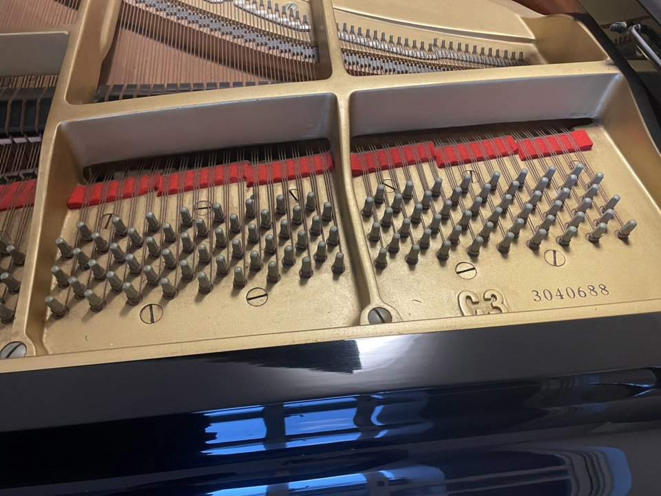 YAMAHA
