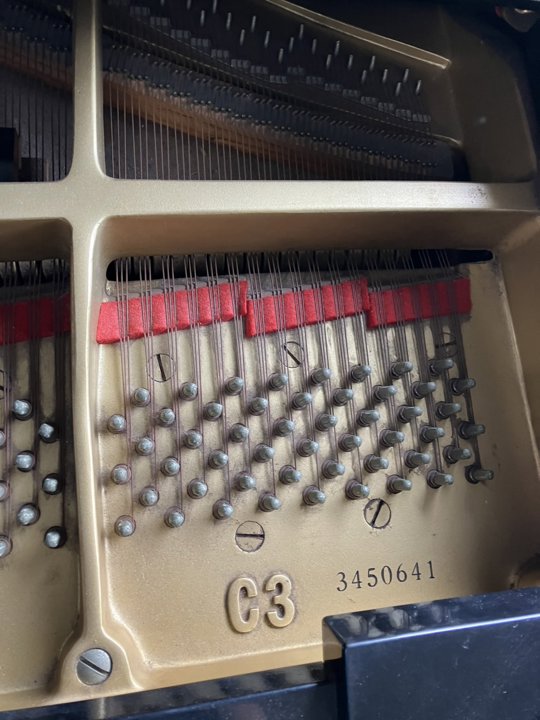 YAMAHA
