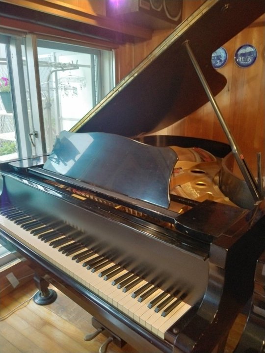 YAMAHA