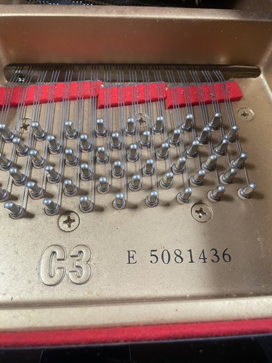 YAMAHA