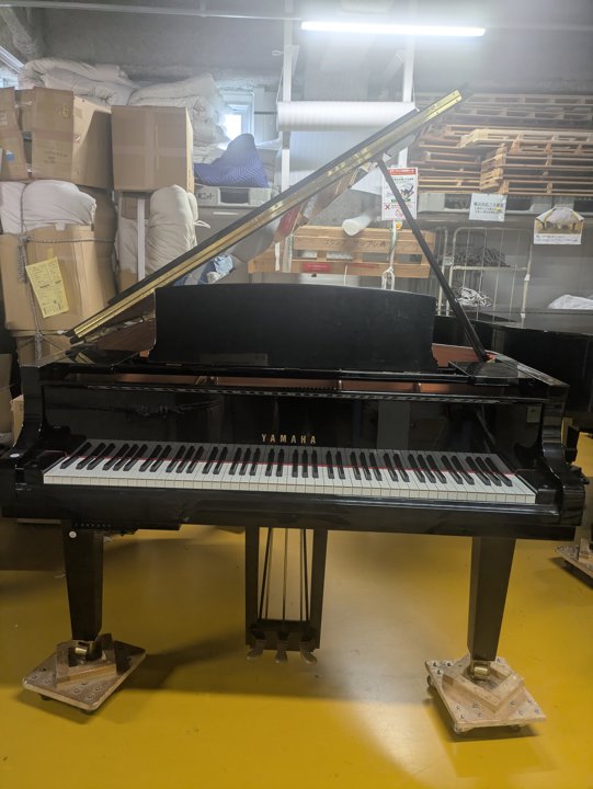 YAMAHA