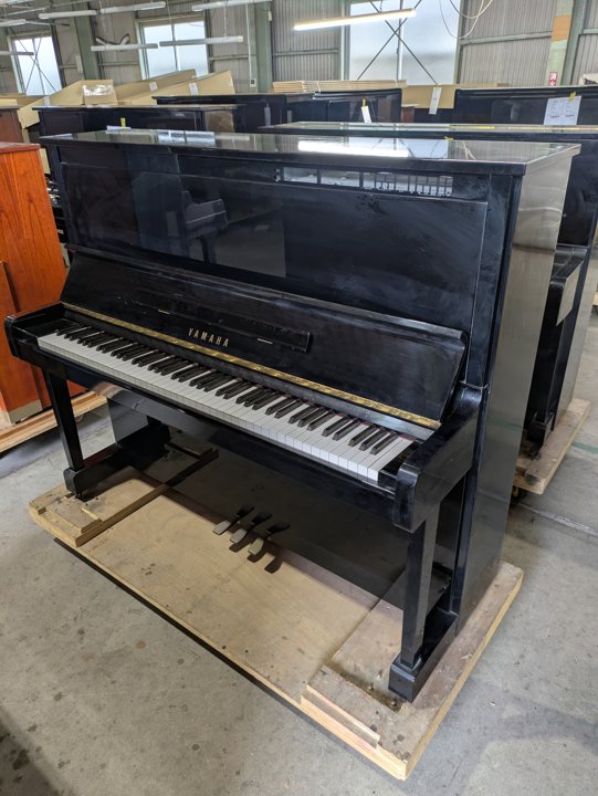 YAMAHA
