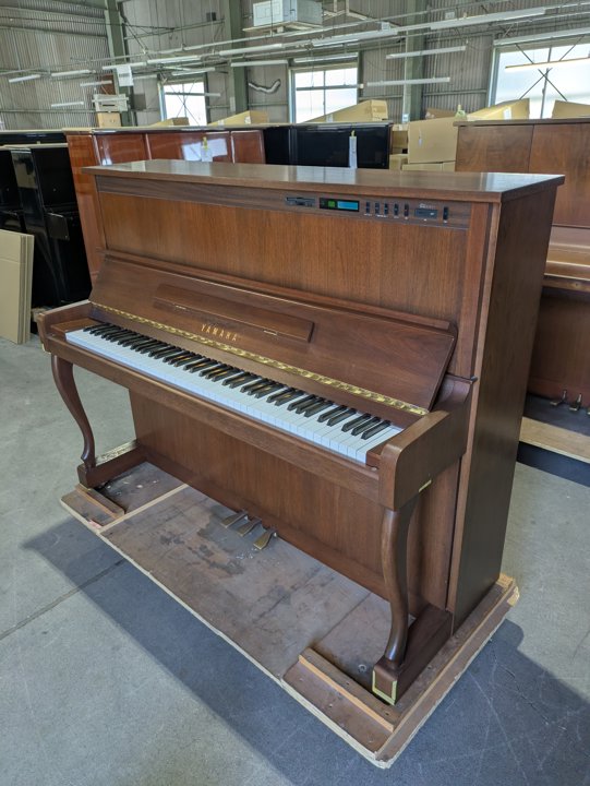 YAMAHA