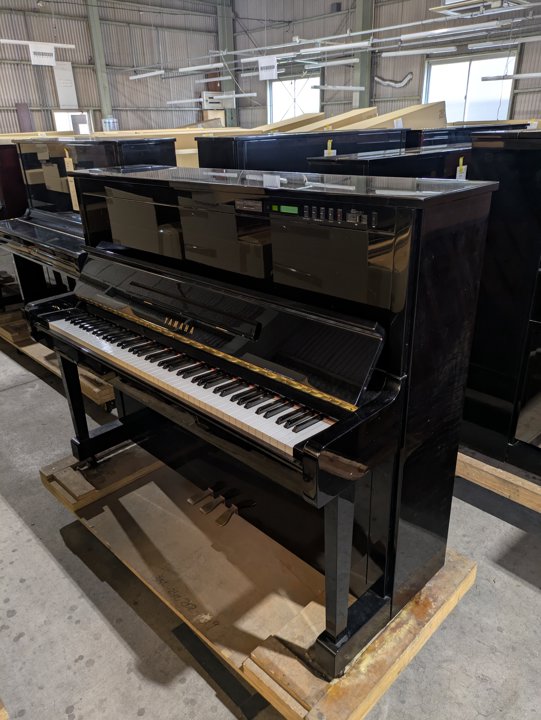 YAMAHA