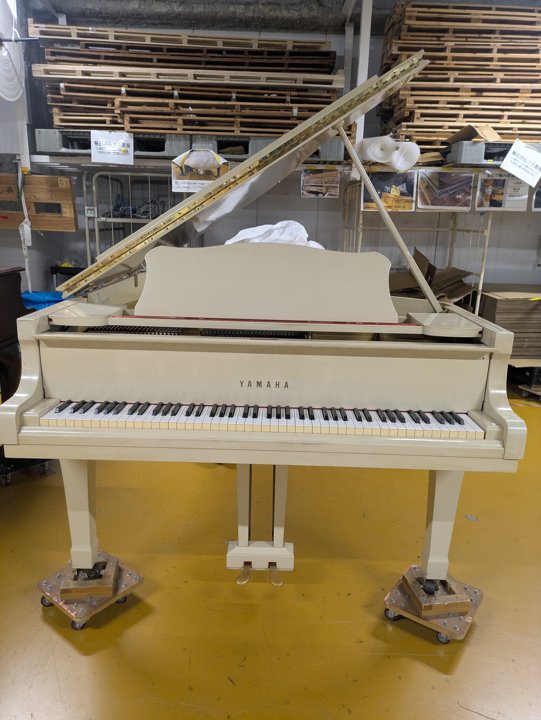 YAMAHA