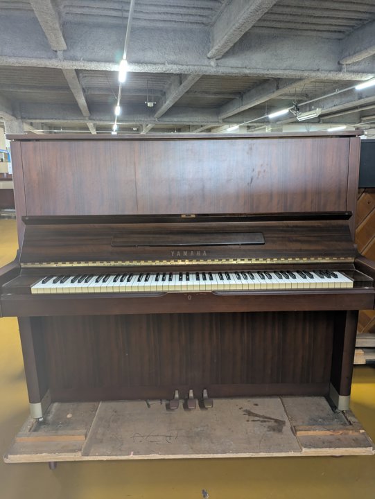 YAMAHA