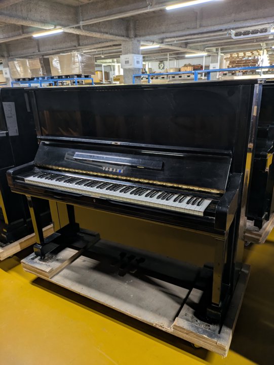 YAMAHA