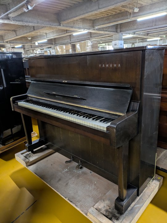 YAMAHA