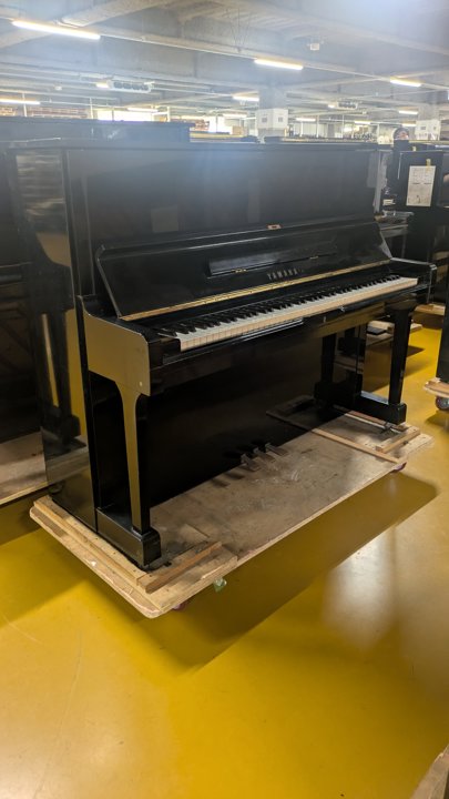 YAMAHA