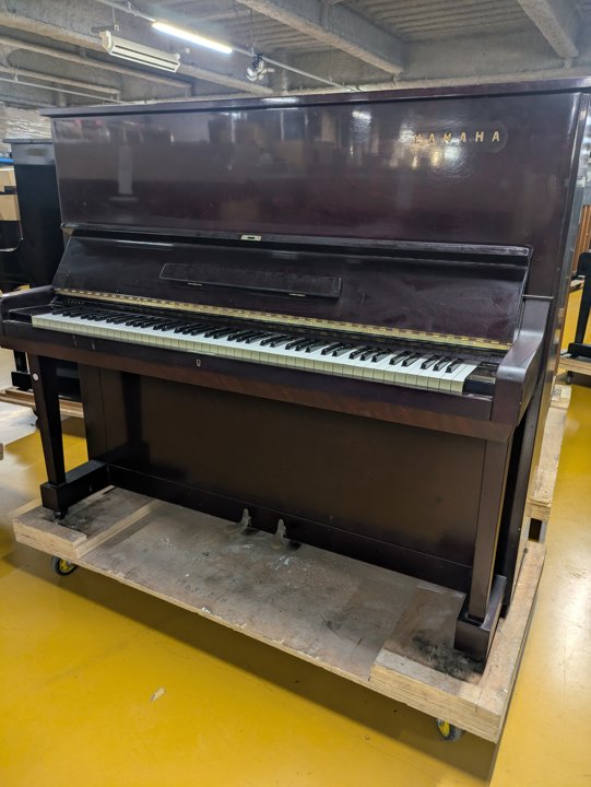 YAMAHA